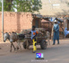 Au Niger, les jihadistes perturbent l'approvisionnement en bois de la capitale