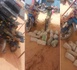 Trafic de drogue : 16 kg de chanvre et deux motos saisis à Diass après une course-poursuite