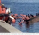 Tragédie à El Hierro : 7 morts et 6 hospitalisations après le chavirement d'une pirogue transportant 152 migrants