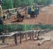 Bignarabé (Médina Yoro Foula) : Les populations construisent le pont de la "honte"...
