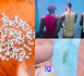 Diamniadio : un réseau de trafic de drogue de synthèse démantelé, 268 képas de Kush saisis