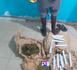 Thiès : Un dealer de chanvre indien piégé dans l’ombre – 2,5 kg saisis au quartier Silmang