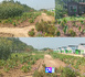 Chine / Immersion dans les serres futuristes de Yuyang Town : une autre idée de l’agriculture  connectée...