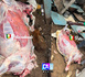Diamaguène Sicap Mbao : interpellation pour maltraitance animale et vente de viande impropre