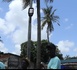 Écologie et solidarité : des jeunes volontaires accompagnent la transition verte en Casamance