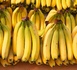 Filière Banane : Les importations au Sénégal, suspendues à partir du 1er septembre
