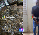 Kédougou : un trafiquant arrêté avec du Kush et près de 500 comprimés de Tramadol à Kharakhena