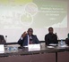 L’industrialisation verte du Sénégal : Entre priorités recherchées et réalité sur le terrain…