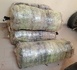 Mbour: La police effectue une saisie de 134 kg de chanvre indien à Ndioukh Fissel
