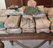 Saly : 23 kg de chanvre indien saisis après la fuite spectaculaire de deux trafiquants...