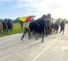Flintlock 2026 : les forces d’élite sénégalaises remportent la première place des « Flintlympics »