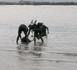 Ziguinchor : un jeune homme se noie à Goumel malgré l’interdiction de baignade