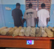 Petit Mbao : 26 kg de chanvre indien saisis, trois suspects arrêtés par la gendarmerie