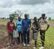 ‎‎VÉLINGARA (Kolda) : Mansour Faye (Maire/Saint-Louis) en campagne agricole invite le duo Diomaye-Sonko à s'occuper des urgences...