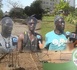 [Reportage] Disparition des espaces verts : une menace pour le cadre de vie?