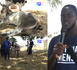 Grand Touba 2026 - Dianatou : dans les coulisses de l’opération bœufs pour nourrir les fidèles