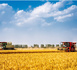 Plan quinquennal 2026-2030 pour l'agriculture : la sécurité alimentaire, un acquis à consolider
