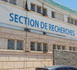 Jalousie amoureuse, TikTok et menaces de mort : la BR de Dakar met fin à une violente « guerre » entre adolescentes pour un homme