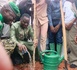 Sandiara/ Journée de l’arbre : Serigne Guèye Diop décline les ambitions de l’État et appelle Aliou Gningue à rejoindre Kiiraay