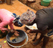 À la frontière entre le Cameroun et la RCA, un éboulement dans une mine d’or fait plus d'une centaine de morts