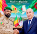 13e Commission mixte Mali-Algérie : Bamako et Alger tournent la page et relancent leur coopération