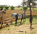 « L’Agriculture régénératrice en Afrique de l’Ouest – Vision 2050 »: une nouvelle réflexion pour transformer les territoires