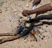 Soudan: l’effondrement d’une mine d’or dans le Kordofan fait au moins 82 victimes
