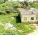 https://www.dakaractu.com/Reportage-Thies-Nord-Entre-insecurite-defaut-d-eclairage-public-etc-les-populations-de-Kawsara-denoncent-le-mutisme_a276164.html