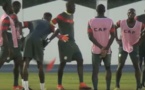 Séance d'entraînement des Lions après la victoire contre la Tunisie (vidéo)