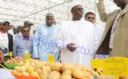  Les images de la tournée économique du président Macky Sall à Saint-Louis et Dagana 