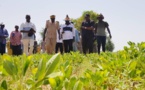 Tournée du ministre de l'agriculture dans la région de Louga.