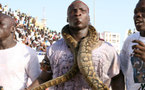 Ama Baldé sanctionné pour avoir ramené son serpent dans l’arène.