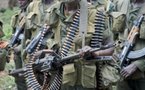 Casamance : Deux militaires et deux civils blessés par des rebelles présumés