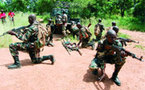 Casamance : L’armée renforce ses positions dans le Sud avec 150 parachutistes.