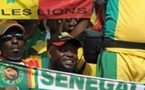 CAN 2012 : les Lions qualifiés en battant les Léopards (2-0)