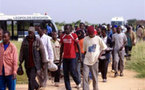 Expulsion de migrants sénégalais : Dakar invité à protester contre Madrid