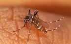Cherté du traitement du paludisme  à Ziguinchor;