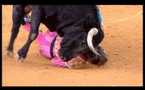 Le matador Juan José Padilla encorné au visage à Saragosse ( VIDEO )