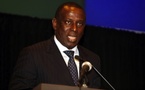 Quand Cheikh Tidiane Gadio compare Wade à Ceausescu