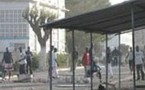 Dernière actualité : l'université brûle ! 