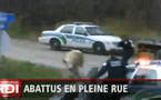 Un policier abat un boeuf en pleine rue (vidéo)
