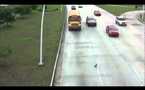 Le pigeon et l'autoroute américaine (VIDEO)