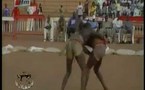 Roffo du 01 novembre 2011 (VIDEOS)