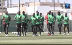 Préparation de la CAN 2019 : Le Nigeria, «un bon match-test» pour les Lions