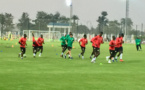 CAN 2019 : Les « Lions » vont se partager près de 233 millions en guise de primes