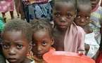 Le monde rural face à une forte pénurie de céréales: La famine menace dans le département de Mbour