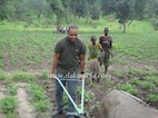 Images : Abdoulaye Baldé en tournée de 10 jours dans les zones agricoles (PHOTOS)