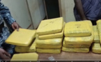 Kédougou / Lutte contre le trafic de drogue : 24 kg de yamba saisis sur l'axe Sabodala-Tenkoto