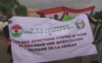 Niger: les ressortissants de pays de la CEDEAO manifestent leur soutien à la junte