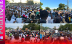 KOLDA : Liesse populaire à l'accueil du nouveau DG de la LONASE, Abdourahmane Baldé...